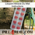 Léopard Miracle Du Miel Instructions 18